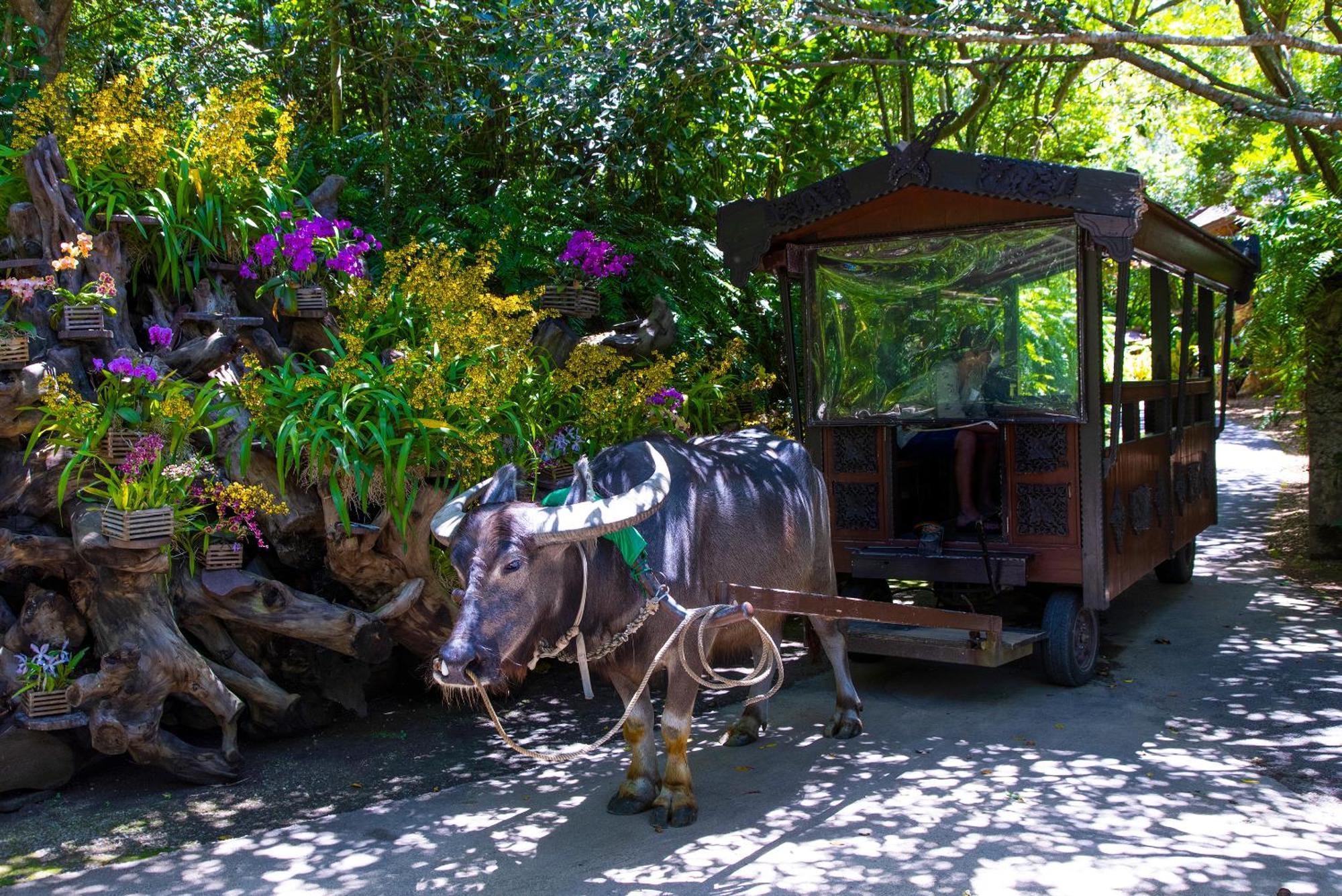Villa 新規オープン サウナ Bbq ジャグジー付き 最大7名 無料駐車場4台 ビーチまで車で5分 Sky House Uruma Esterno foto